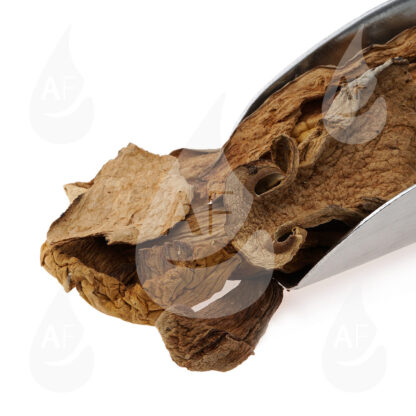 Μανιτάρια Porcini